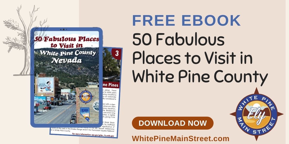 50 Fabulous Places in White P:ine County Nevada
